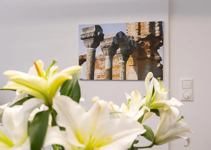 Arc Maisonette *