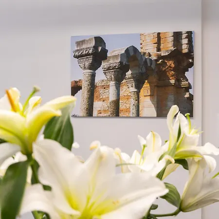 Arc Maisonette *